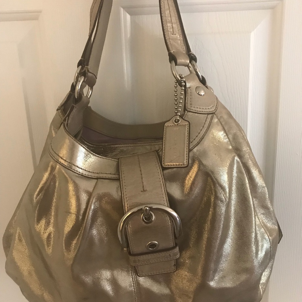 ❣️Previously loved❣️Metallic Coach  Bag ❣️